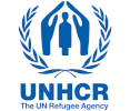 associate-livelihood-and-economic-inclusion-officer-p2-aru-un-high-commissioner-for-refugees-080223121915