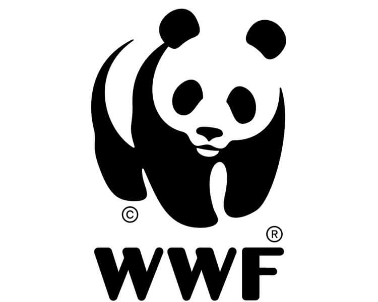 chief-operating-officerwwf-world-wide-fund-for-nature-240123090155-img