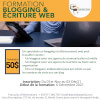 formation-sur-le-blogging-et-referencement-web-261121142431