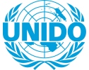 national-communication-expert-unido-071222084217