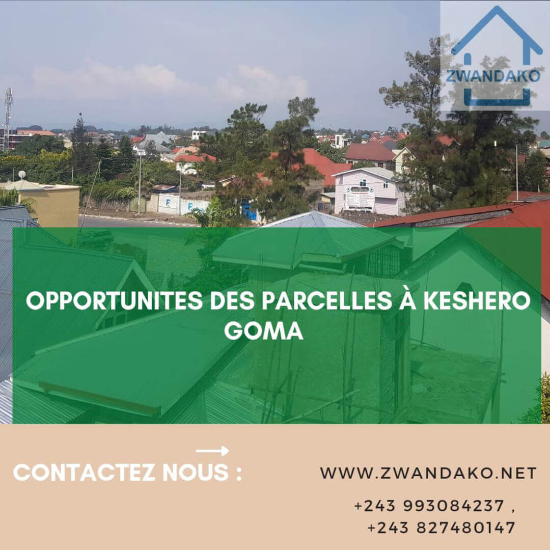 opportunites-des-parcelles-a-keshero-goma-240122142256-img