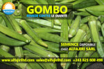 semence-gombo-230422220959