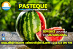 semence-pasteque-230422220129