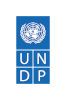 team-leadergovernance-and-democratic-institutionsundp-united-nations-developement-programme-190123155333