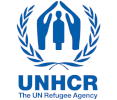 un-high-commissioner-for-refugees-unhcr-shelter-cluster-coordination-officer-p3-goma-070223121032
