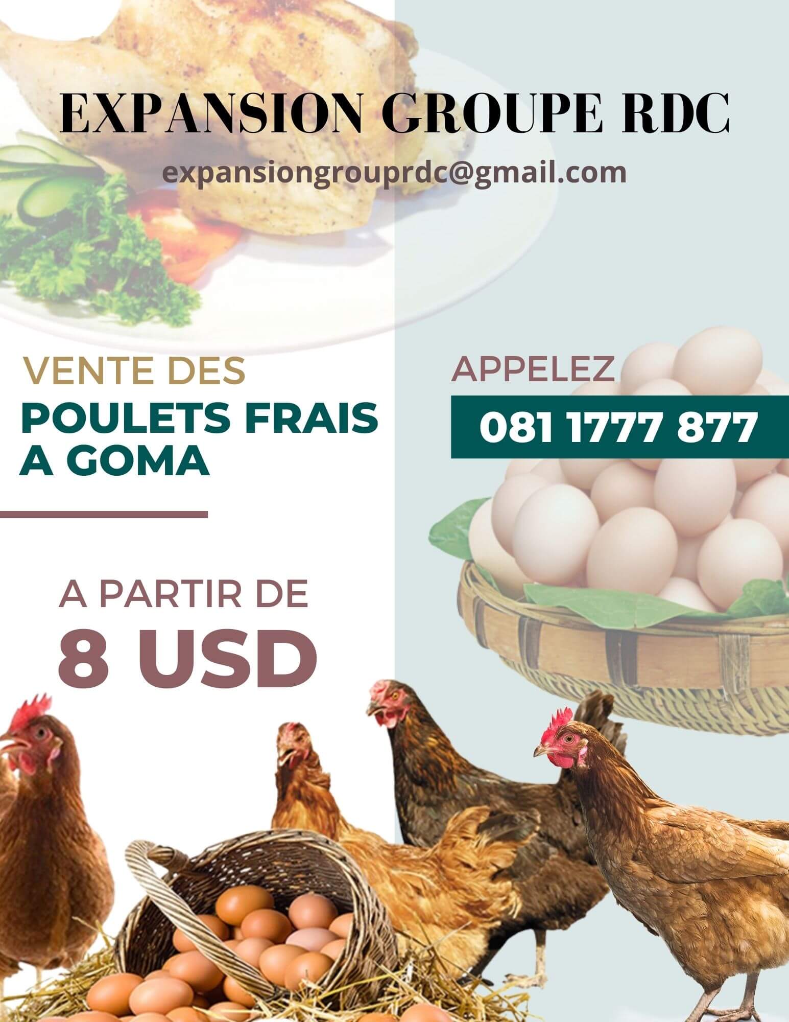 vente-des-poulets-frais-a-goma-110522043657-img
