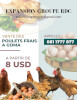 vente-des-poulets-frais-a-goma-110522043657
