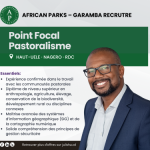 a0526f51-34ea-4dcc-991d-5768c30e9512